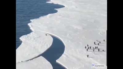 For some reason I can't upload this to my profile so I'll put it here