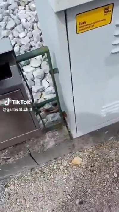 Calmest German speaker