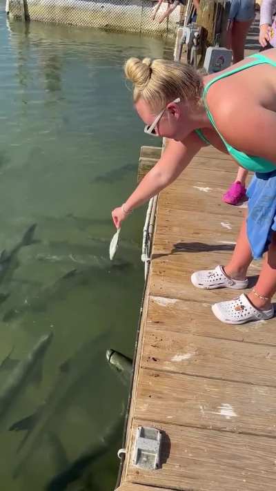 A woman trying to feed the fish to fishes