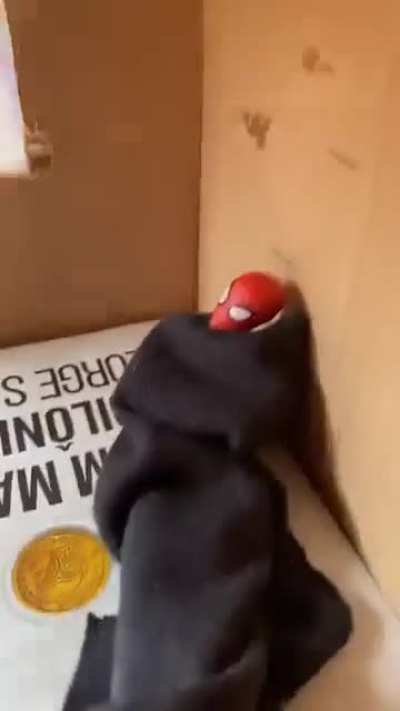 excelentes histórias do @jj_figuress