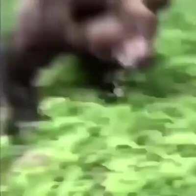 I have got to stop visiting this sub