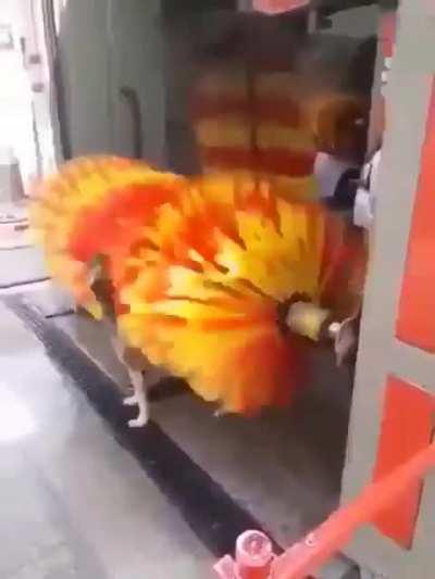 Getting ready for a date