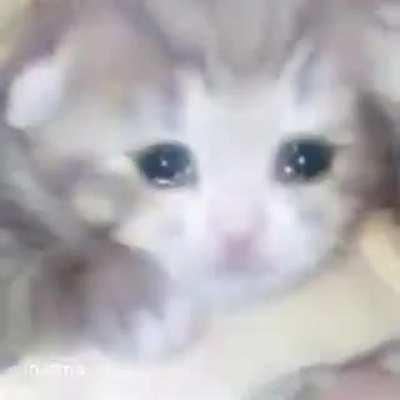 Cuando de niño comprabas Sabritas y no te salia tasó de dragón ball z o Pokémon