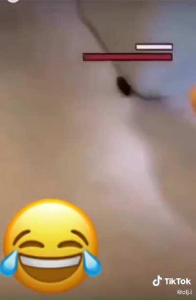 الله لا يبلانا 😂