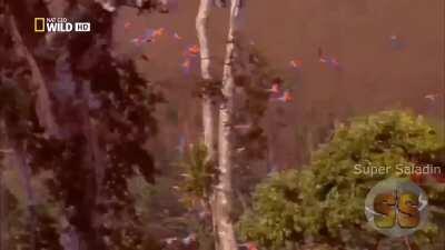 A aula de biologia que eu quero estudar