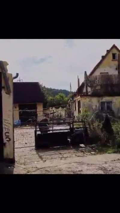 Raini hatte danach wahrscheinlich ein kurzen Herzkasper