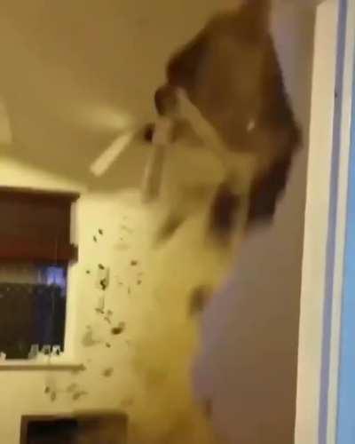 OaaaAaaa OaaaaaAaaaagh