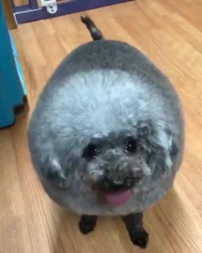 A small fluffy cloud