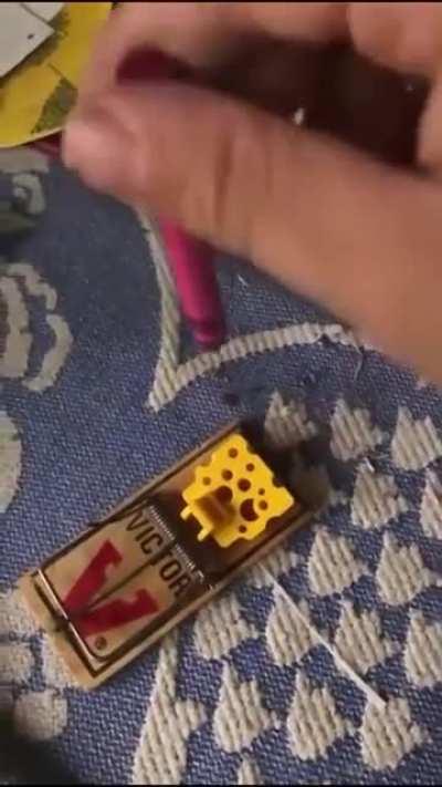 Playing with a Mousetrap