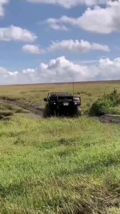 Beauty 200 series and 100 series Sunday funday