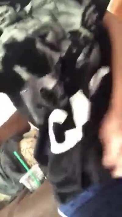 Johnny hides wonders