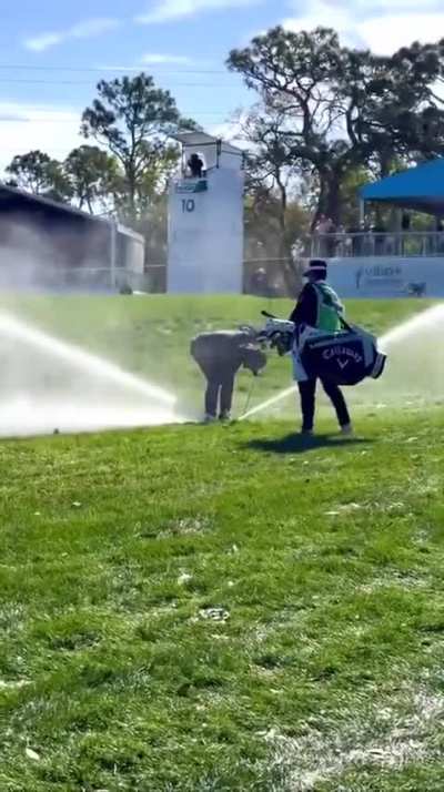 Adam Hadwin sprinkler smash