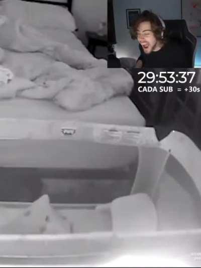 a risada mais sincera do cellbit foi quando ele viu um bebe sendo desintegrado...