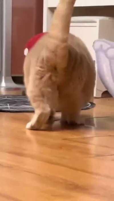 Oh lawd, he coming. he comin' with big swing with those heavy hangers