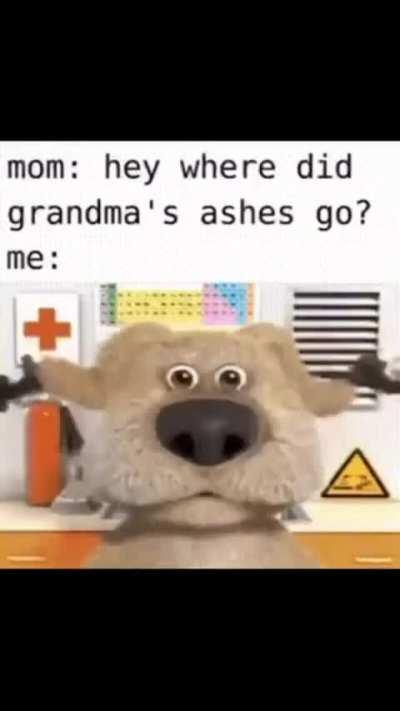 Heil spez type of dog