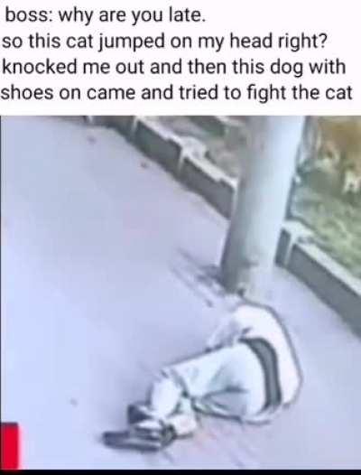 I have several questions.