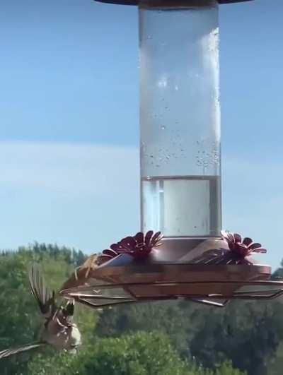 I didn’t even know this was possible until today...