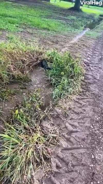 Now that's a clever life hack.