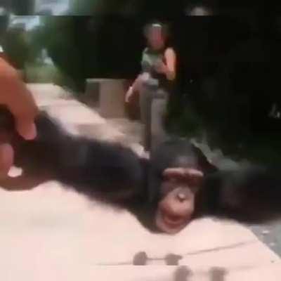 why tf did we evolve m8