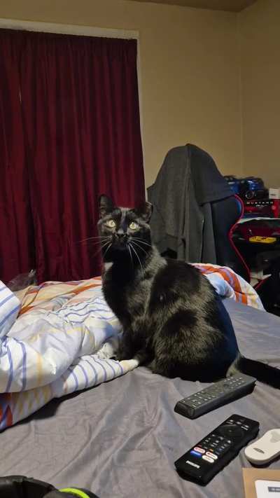 They're in the ceiling again...