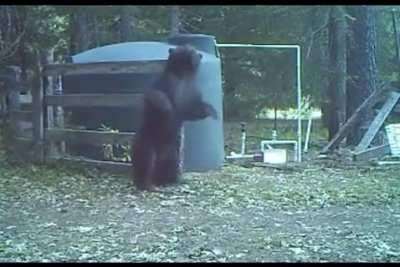 Never felt pain like this before