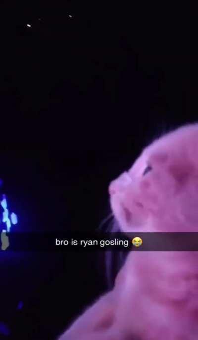 Wunk is literally me