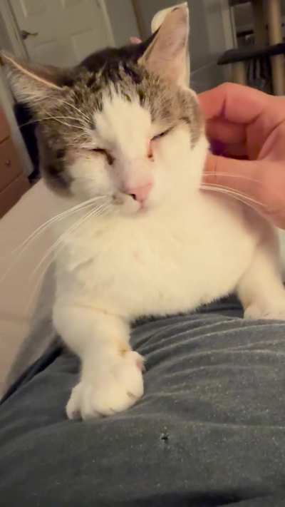 Making biscuits and motorboating loudly