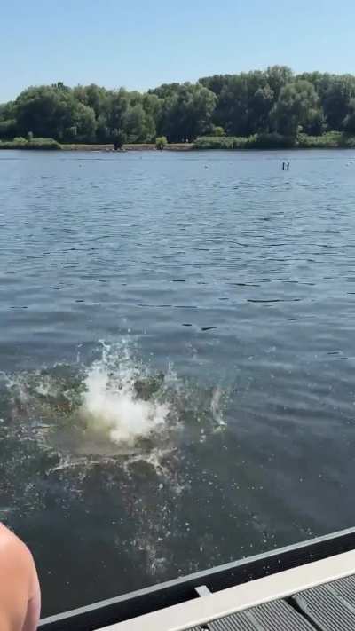 Prinzessinjeanniefee