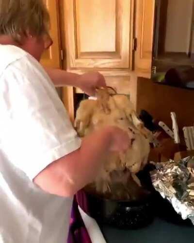 That escalated quickly