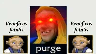 Do what you like the most, no matter what others say