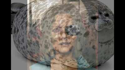 She said seal in french..