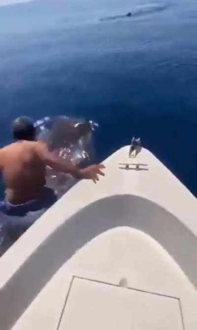 The way of the water caught in real life 