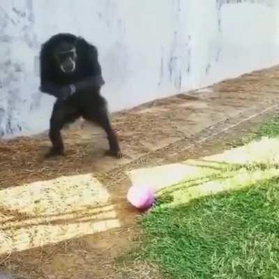 Golasooooooo illo mono messi