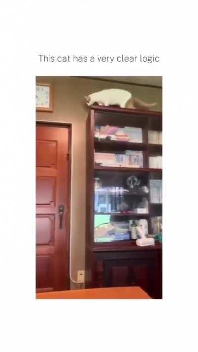 Opening door catculation