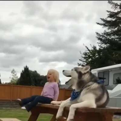 A girl and her husky singing a beautiful song together 😂