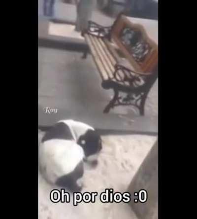 El que no le da upvote no tiene corazón