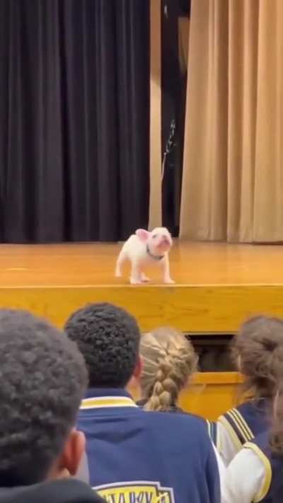 On stage.. off stage