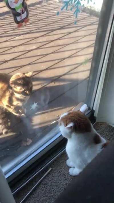 DONT TOUCH THE.. nvm