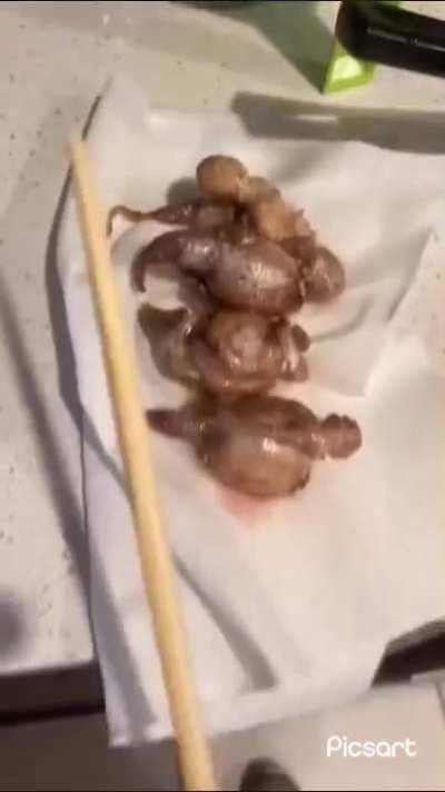 The Slap 😃👍 (first post💀)