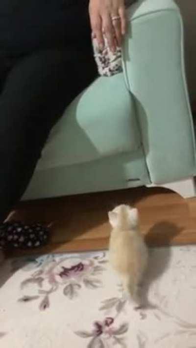 This is Simit’s first jump in his life