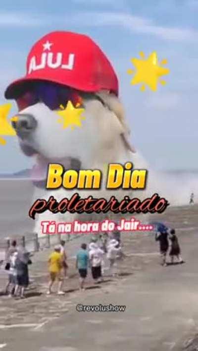 Bom dia, classe perigosa que vai continuar lutando por democracia popular. Ganhamos!