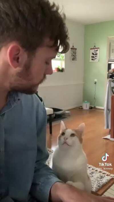 Get you someone who looks at you the way this cat looks at his talented man