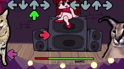 (OC) friday night floppin’