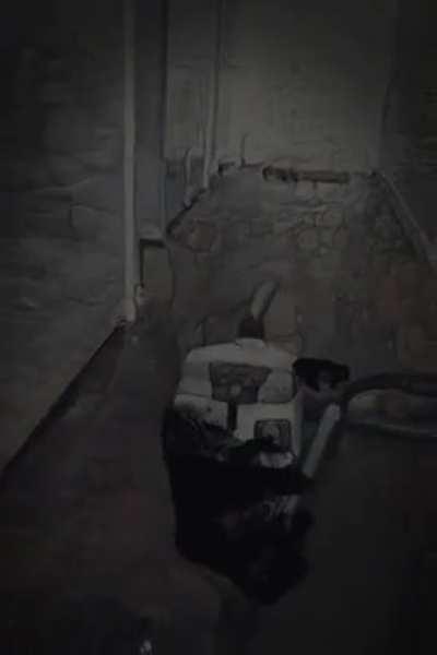 Tell me your favourite hallucinations and I'll do my best to replicate them. Shout out to log4n seitz for the inspiration on this one.