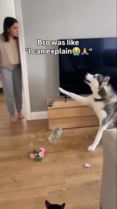 Bro needs to lawyer up