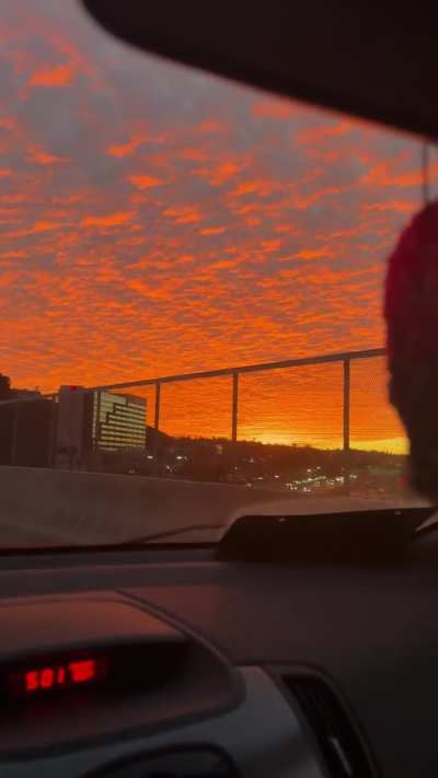 San Diego showing out 😍