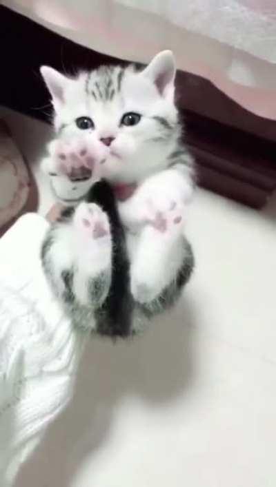 Touch tha toe beans..