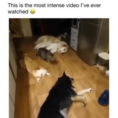 Average Operation Postman Gameplay (simulated)