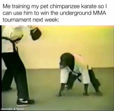 They stand no chance