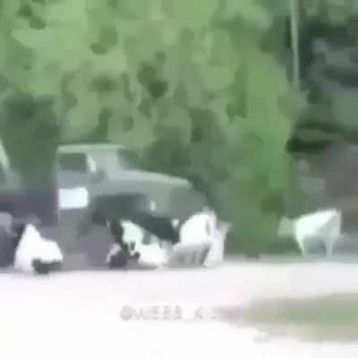 do u ever wanna fuck an anime bitch